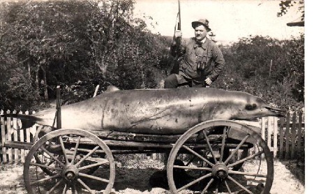 Datei:Karlshagen Wal.jpg