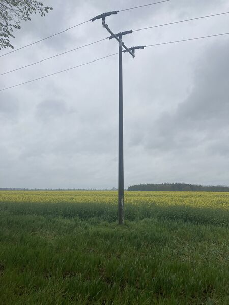 Datei:Bömitz Sturmschaden 1.jpg
