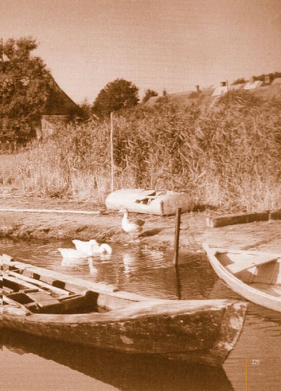 Margot Krempin Körkwitz - Chronik 1912 S229