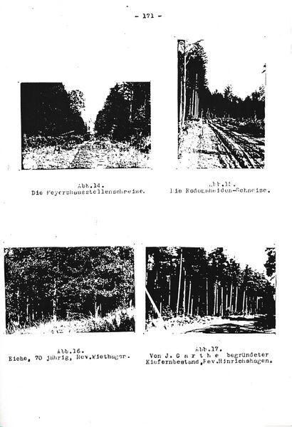 Datei:RH Oelsnitz 171.jpg