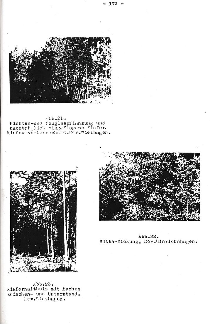 RH Oelsnitz Forstwirtschaftsgeschichte NÖM 1955 173