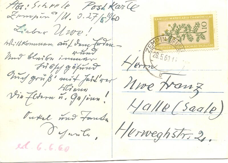 Datei:Scheele 1960 AK RückSonnenblume.jpg