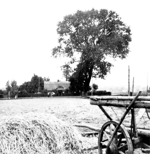 Datei:1951 Zem002.jpg