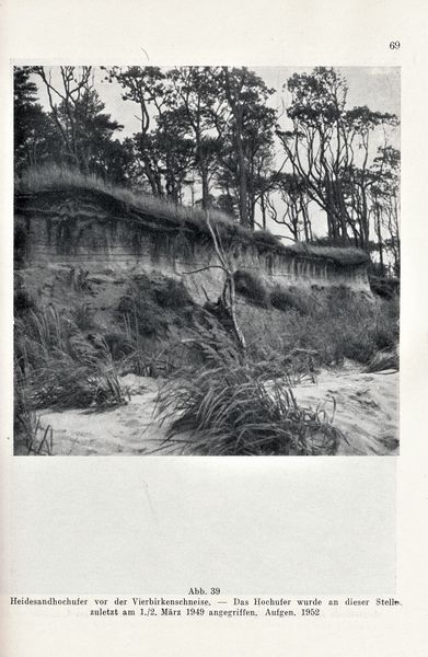 Datei:Kolp Nordöstliche Heide 0069.jpg