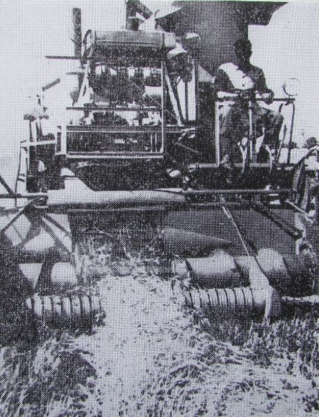 Datei:Glash119.jpg