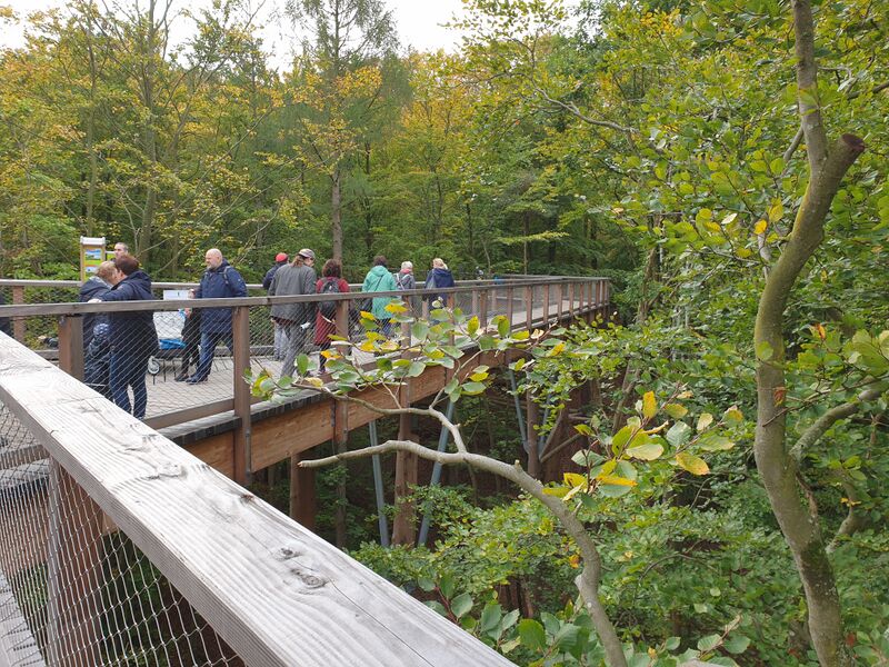 Datei:Heringsdorf Baumwipfelpfad 2021-7.jpg