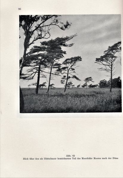 Datei:Kolp Nordöstliche Heide 0096.jpg