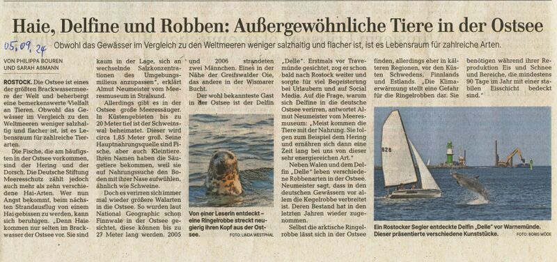 Datei:Ostsee 2024 Tiere.jpg
