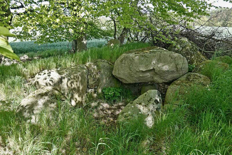 Datei:Hünengräber Liepen 10 3.jpg