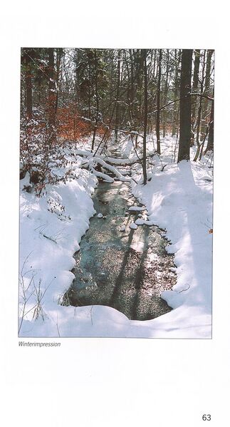 Datei:ML Gelbensander Forst 62.jpg