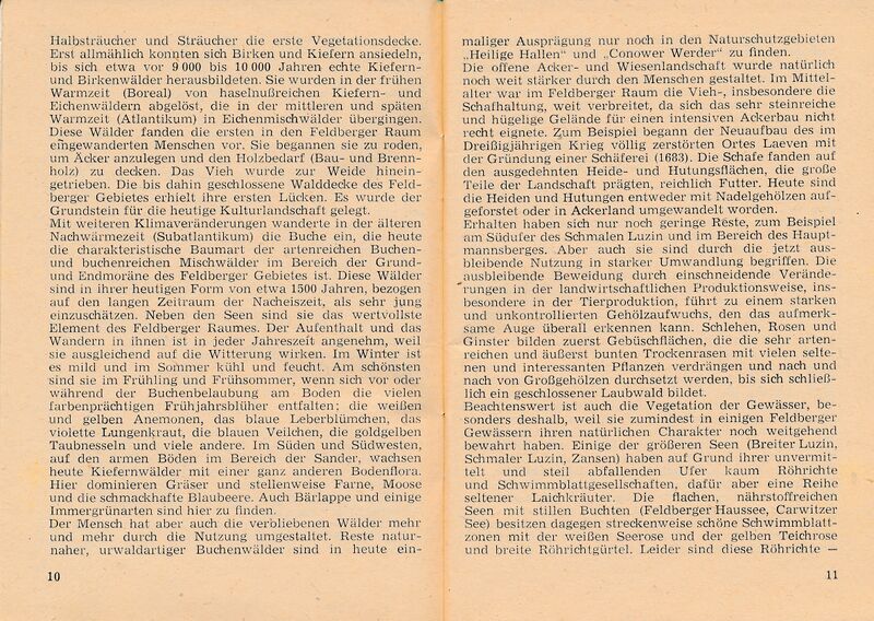 Datei:Feldberg Barby Brockhaus S10 11.jpg