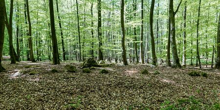 Hünengräber Altkalen 5.jpg