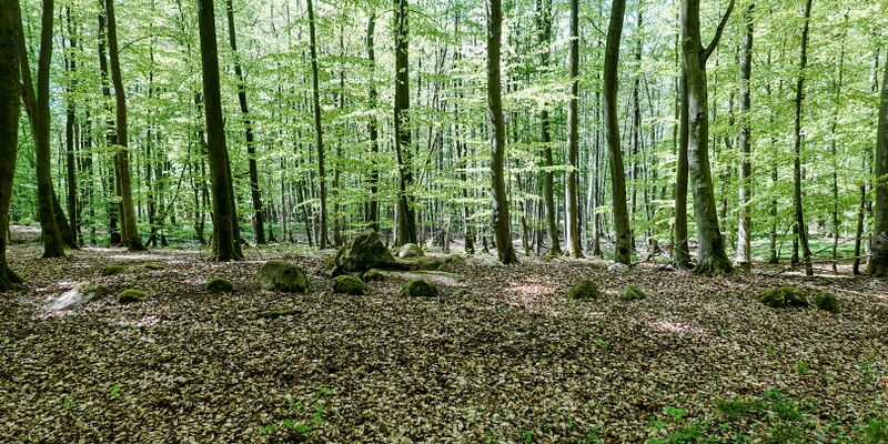 Datei:Hünengräber Altkalen 5.jpg