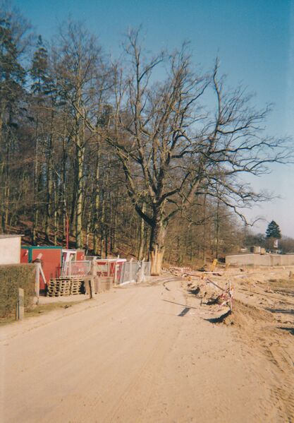 Datei:MarlowKL4.jpg