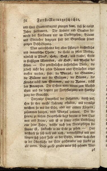 Datei:Fiedler Handbuch Forstwirtschaft 1796-045.jpg