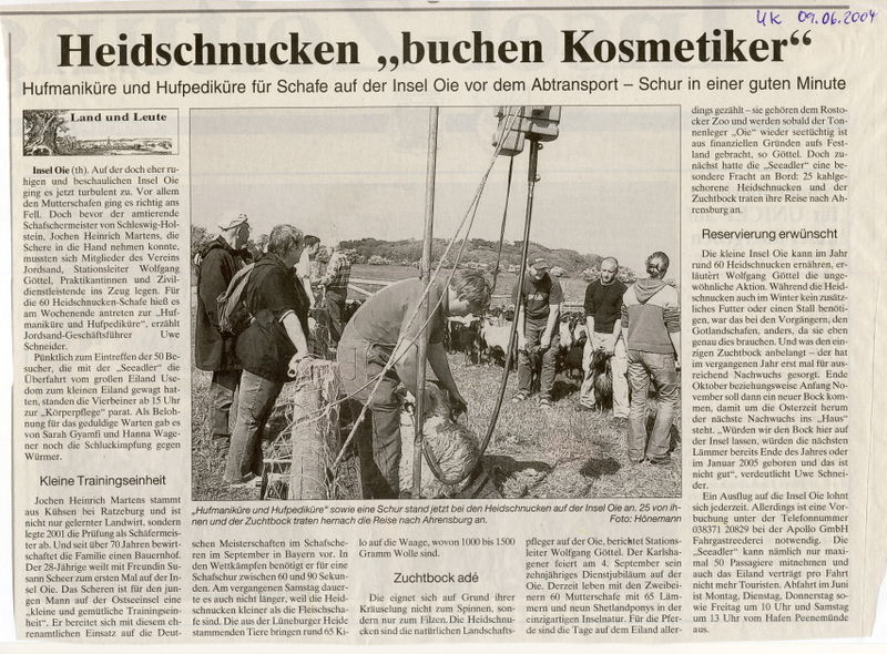 Datei:2004 Schafe scheeren.jpg