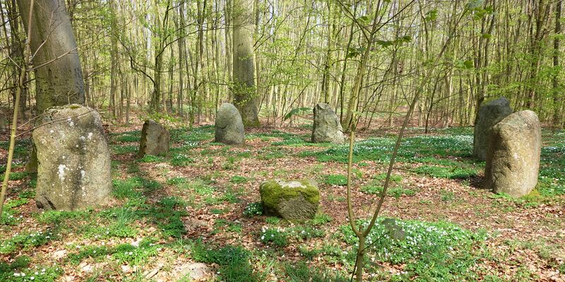 Datei:Hünengräber Boitin Großer Steinkreis 5.jpg