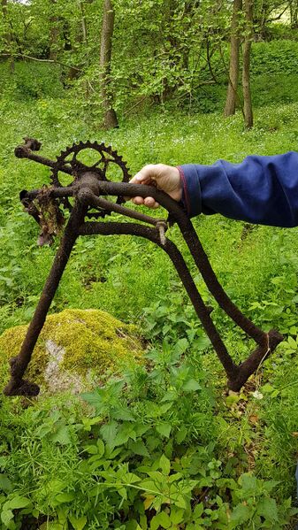 Datei:Rostpedale( 20.05.2017 .jpg