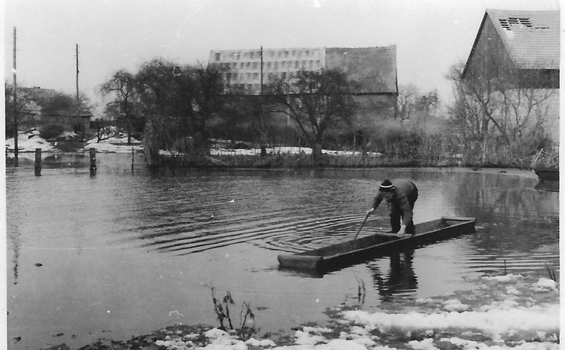 Datei:Wolfgang im Futtertrog, 1963.jpg