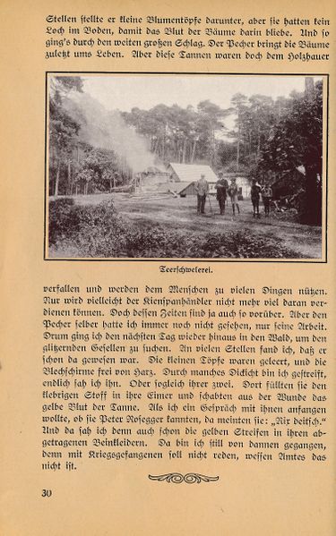 Datei:Ahrens Kleinod 30.jpg