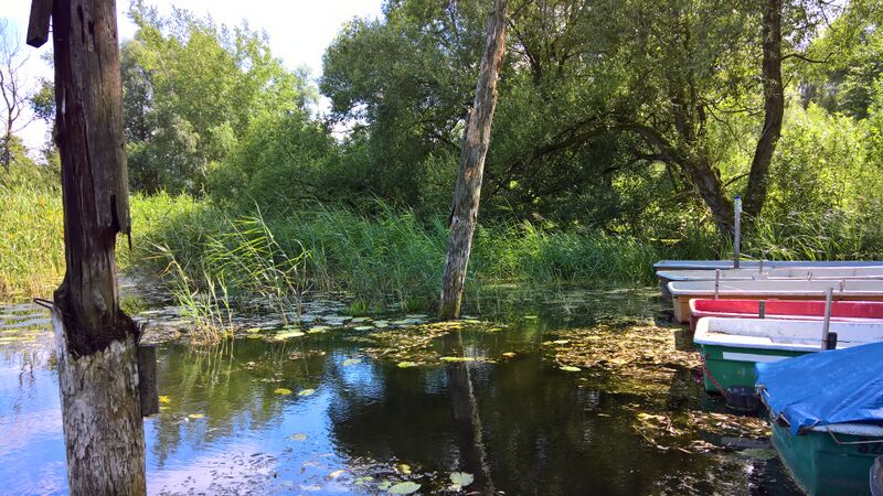 Datei:Am Hafen 2 (Kerstin).jpg