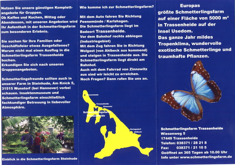 Datei:Schmetterling 1.jpg