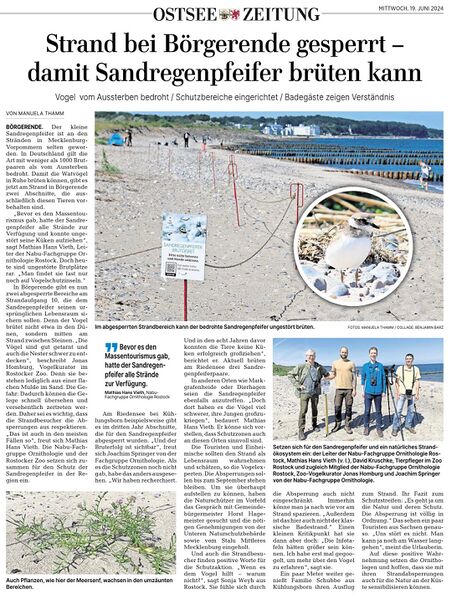 Datei:Boergerende-Rethwisch-Juni-2024-Strand.jpg