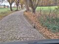 Vorschaubild der Version vom 12:50, 5. Jun. 2026
