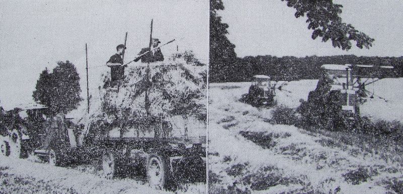 Datei:Glash120.jpg