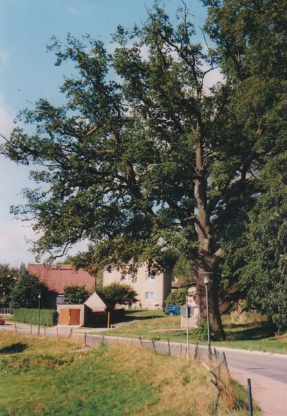 Datei:MarlowKL5.jpg