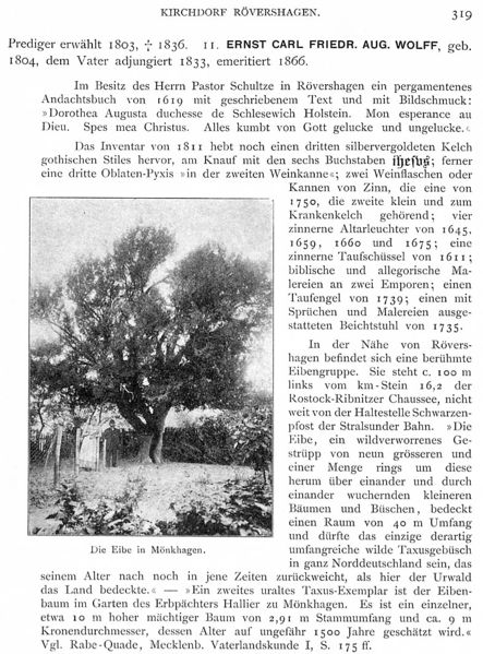Datei:Rövershagen S1 319.jpg