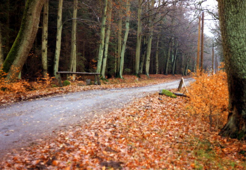 Datei:K.B. Judenbrücke.jpg