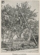 Ziehbrunnen in Parkentin (als Bsp.)