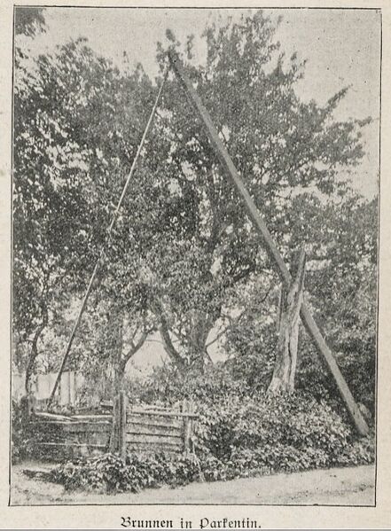 Datei:Goldenbow 1906 H3 S67 Peßler ew.jpg