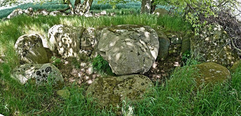 Datei:Hünengräber Liepen 10 4.jpg