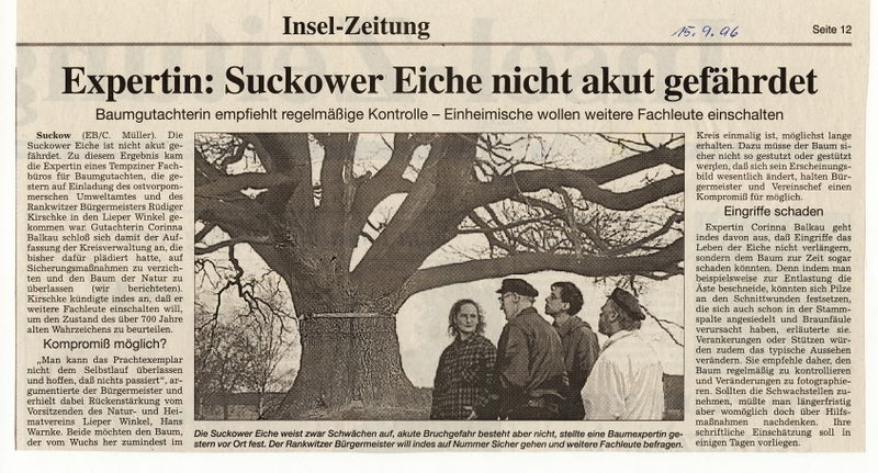 Datei:1996 Eiche Gutachten.jpg