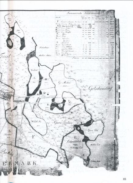 Datei:Mechow Goetsch 65.jpg