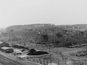 Blick vom Mühlendach auf die Bäuerliche Handelsgenossenschaft - BHG (1959)