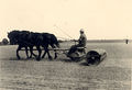 Moenchhagen Landwirtschaft 1950er Jahre 1.jpeg