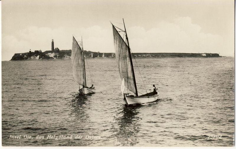 Datei:Oie Segler.jpg