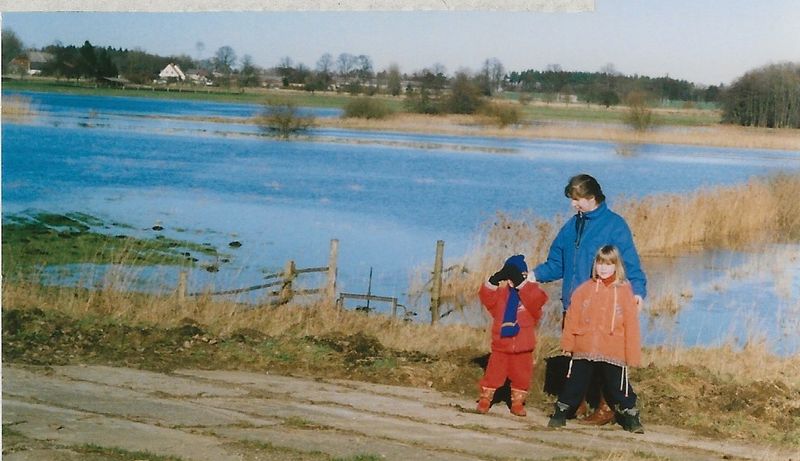 Datei:Hochwasser Tollensewiesen 2002.jpg