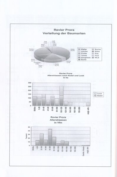 Datei:Preuße Wälder MFB 035.jpg