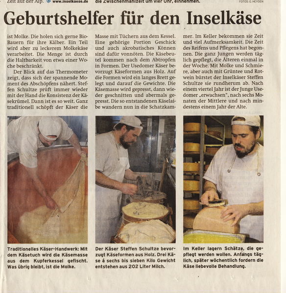 Datei:2011 Käse 3.jpg