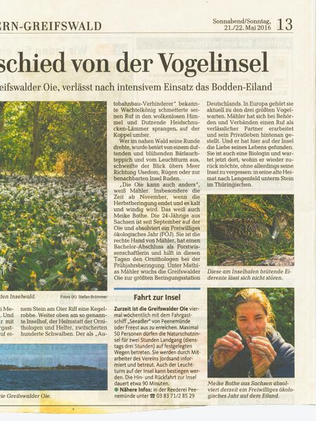 Datei:2016 Greifswalder Oie 2.jpg