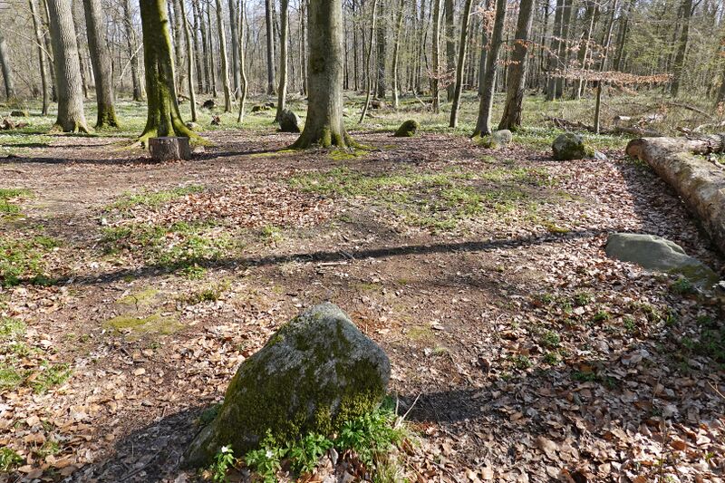 Datei:Hünengräber Kükenshagen 1.jpg