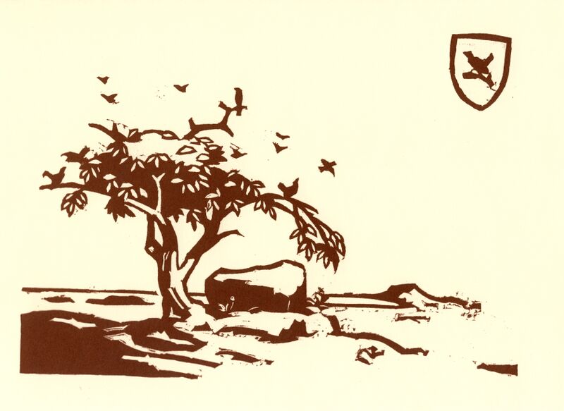 Datei:05 Singschwan.jpg