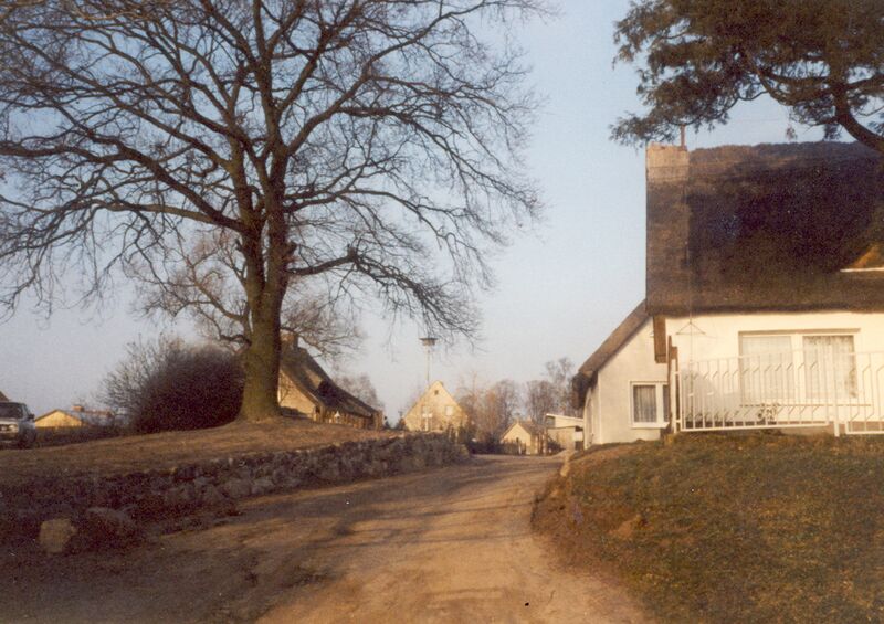 Datei:1998 Fischerstr Schön.jpg