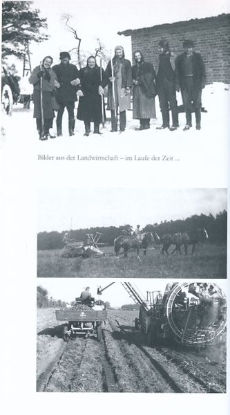 Datei:Alth 124.jpg