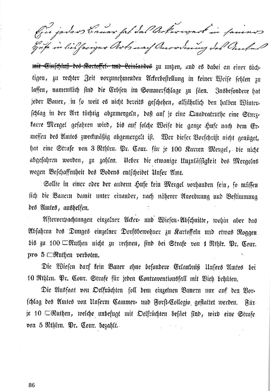 Mechow Goetsch 2004 86