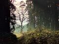 Vorschaubild der Version vom 19:23, 26. Jun. 2026